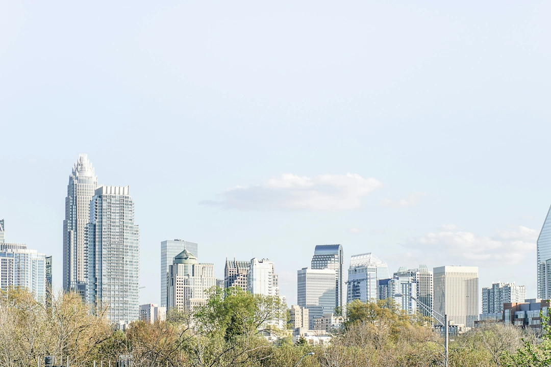 Uptown Charlotte skyline with modern high-rise buildings and trees in the foreground under a pale sky.