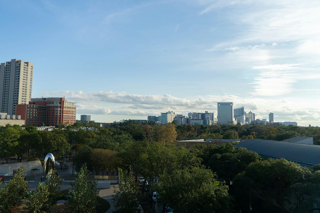 Distant view of Houston, Texas skyline surrounded by trees with high-rise buildings under a wide sky.