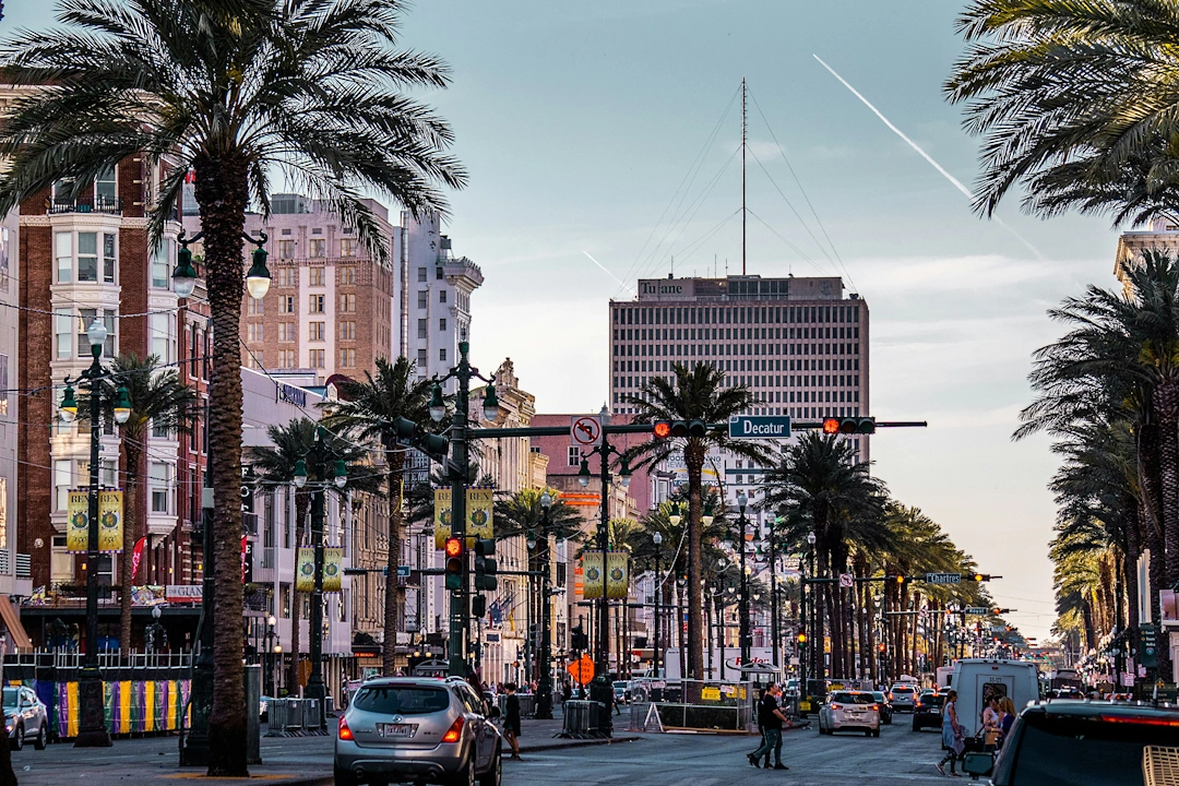 Downtown New Orleans view from Canal Street featuring palm-lined streets, historic buildings, and Tulane signage.